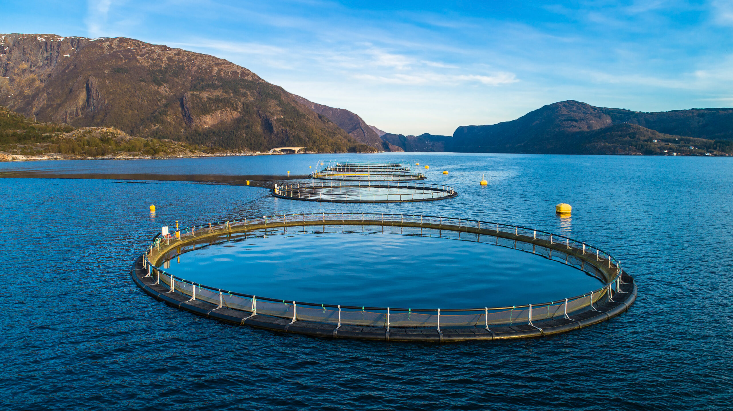 Salmon fish farm. Hordaland, Norway.