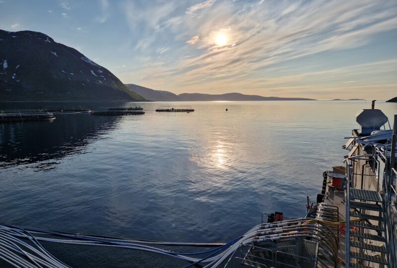 Oksygentilførsel – nøkkelen til bærekraftig sjøbasert lakseoppdrett Oksygentilførsel – nøkkelen til bærekraftig sjøbasert lakseoppdrett