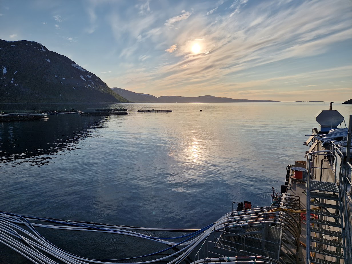 Dette kan bli en flaskehals for lønnsom og bærekraftig drift