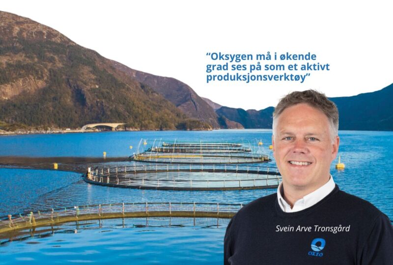 Oksygen som strategisk produksjonsfaktor
